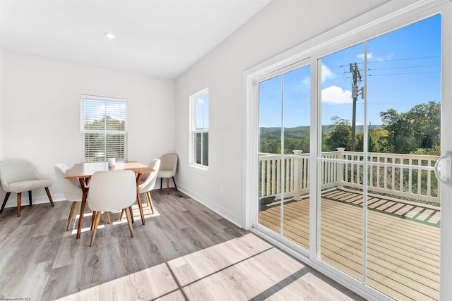 dining room featuring light hardwood / wood-style flooring and plenty of natural light