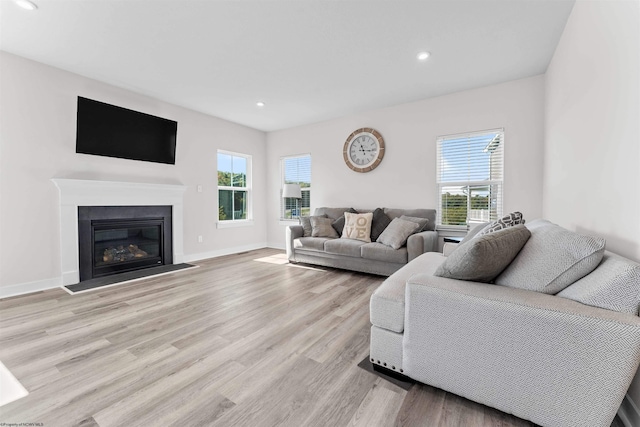 living room with light wood-type flooring and a healthy amount of sunlight