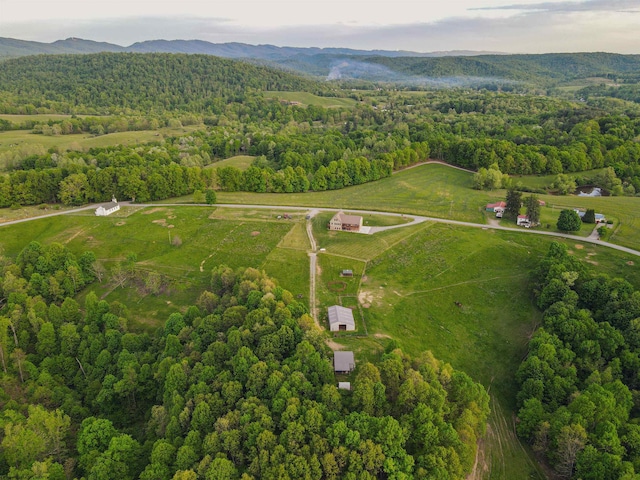 birds eye view of property with a mountain view