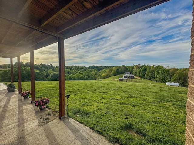 view of yard featuring a patio area