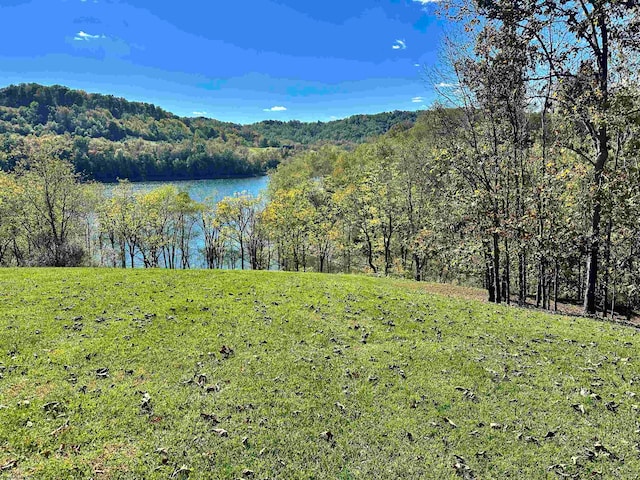 Listing photo 2 for 18 Sunrise Cir, Horner WV 26372