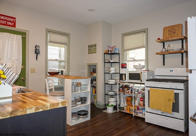 kitchen with wooden counters, dark wood-type flooring, white appliances, and a wealth of natural light