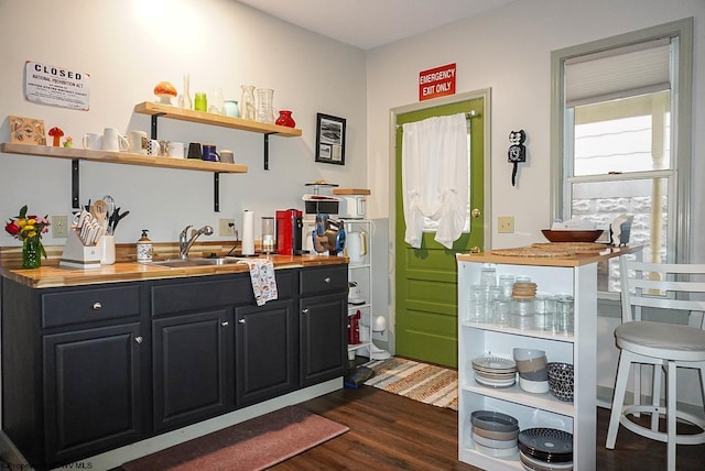 bar featuring sink and dark wood-type flooring