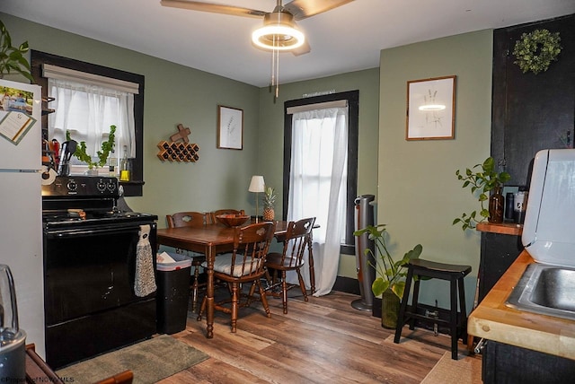 dining room featuring ceiling fan, hardwood / wood-style flooring, and sink