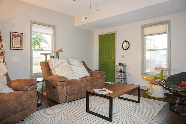 living room featuring hardwood / wood-style flooring and a healthy amount of sunlight