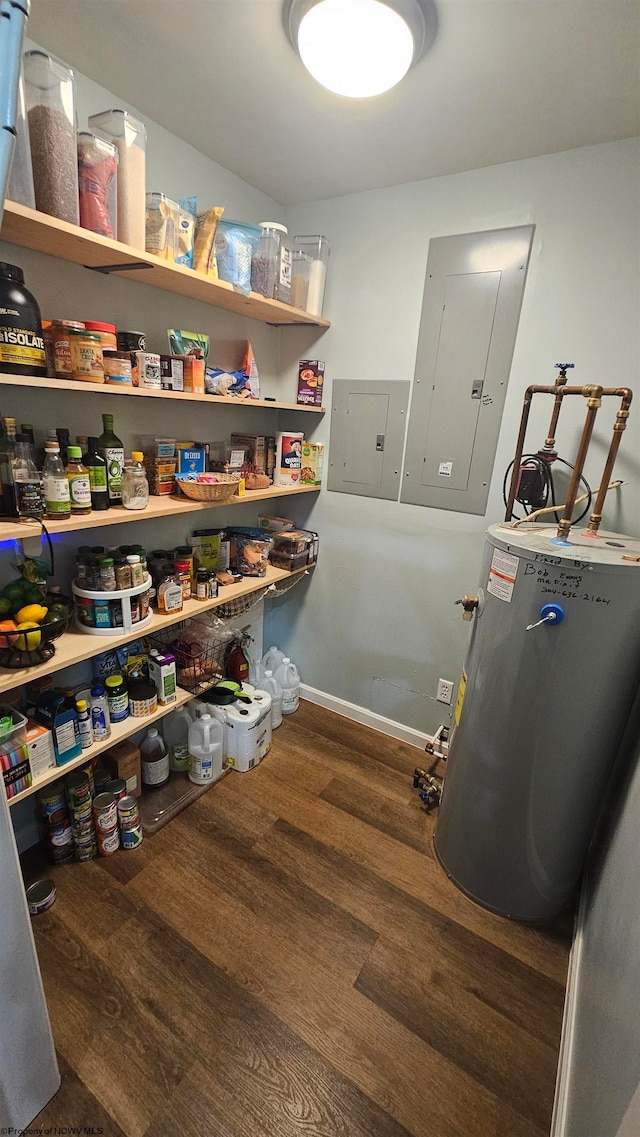 pantry with electric panel and water heater