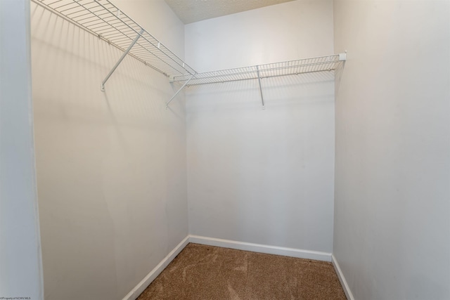 spacious closet with carpet flooring