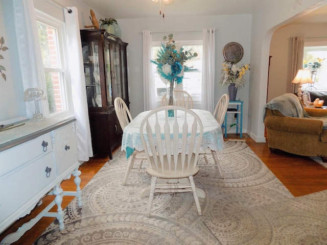 dining space featuring hardwood / wood-style floors