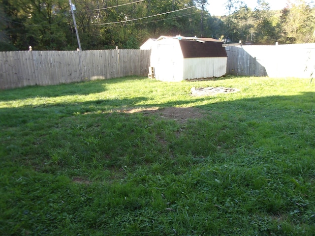 view of yard featuring a storage unit