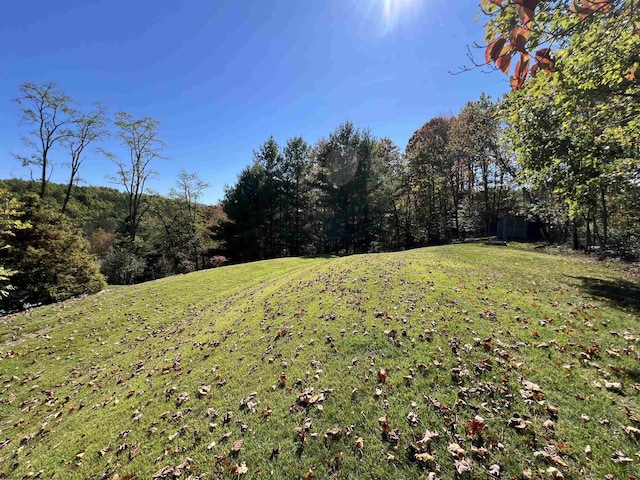 view of yard featuring a wooded view