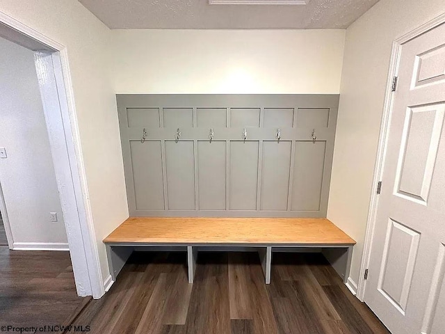 mudroom featuring dark wood-type flooring