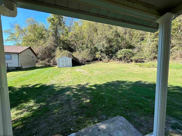 view of yard featuring a storage unit