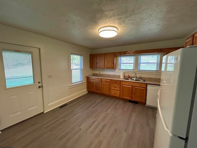 kitchen with light wood-type flooring, plenty of natural light, sink, and white appliances