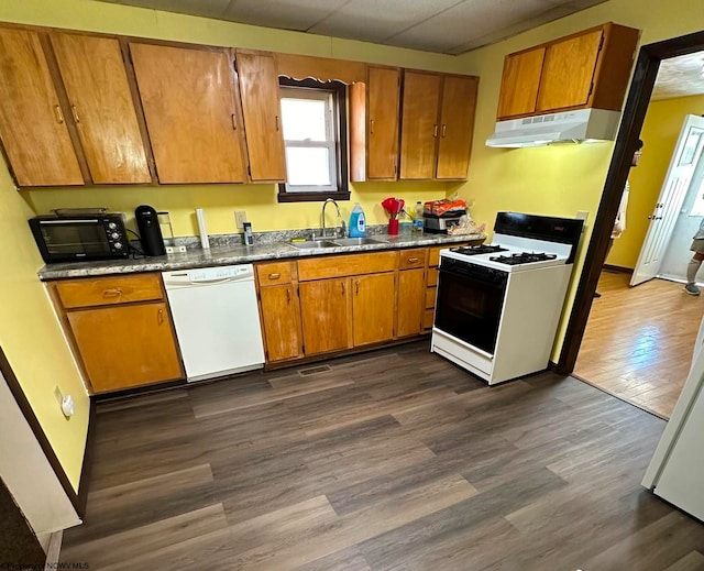 kitchen with dark hardwood / wood-style floors, sink, and white appliances