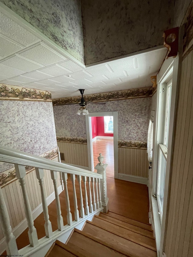 stairs featuring hardwood / wood-style flooring and ceiling fan