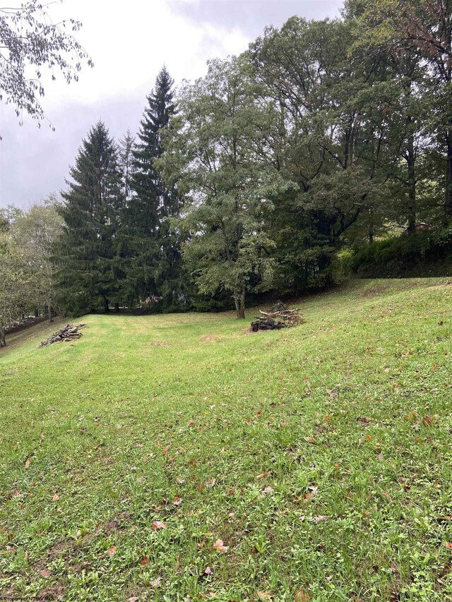 0 Point Mountain Rd, Valley Head, WV 26294