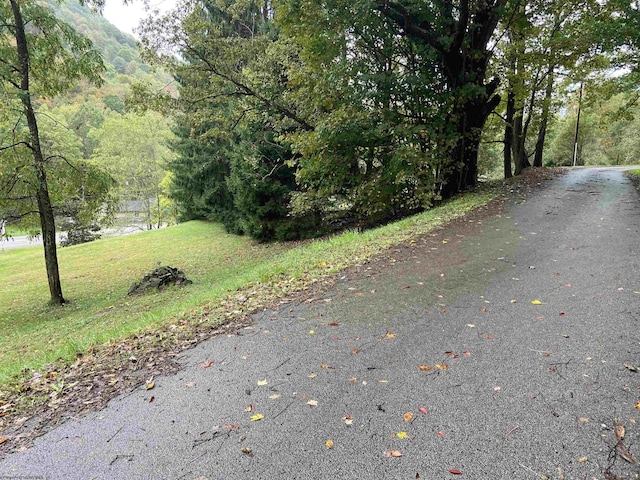 0 Point Mountain Rd, Valley Head, WV 26294