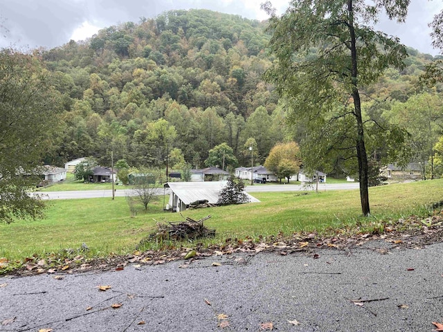 0 Point Mountain Rd, Valley Head, WV 26294