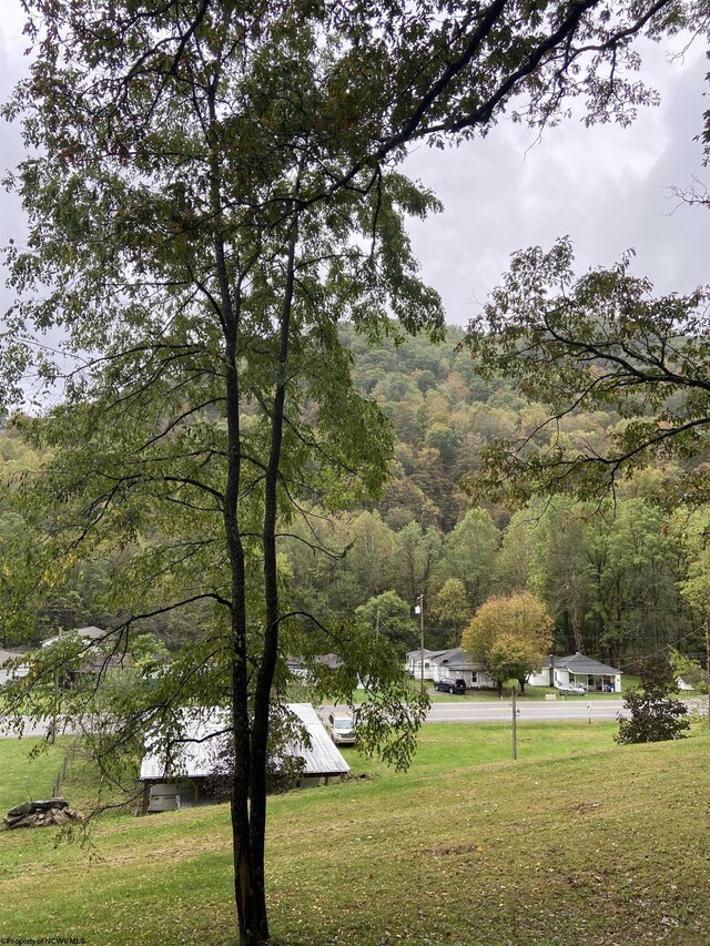 0 Point Mountain Rd, Valley Head, WV 26294