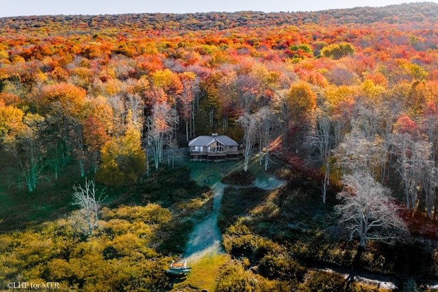 bird's eye view