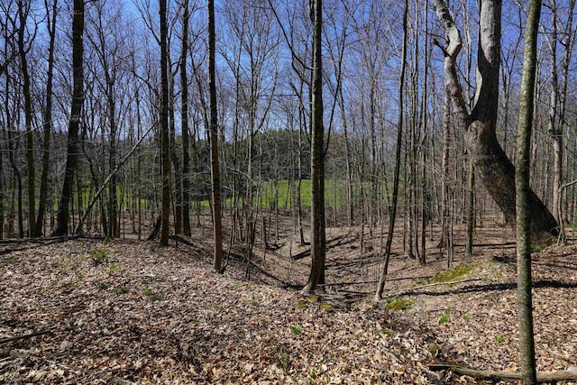 view of landscape