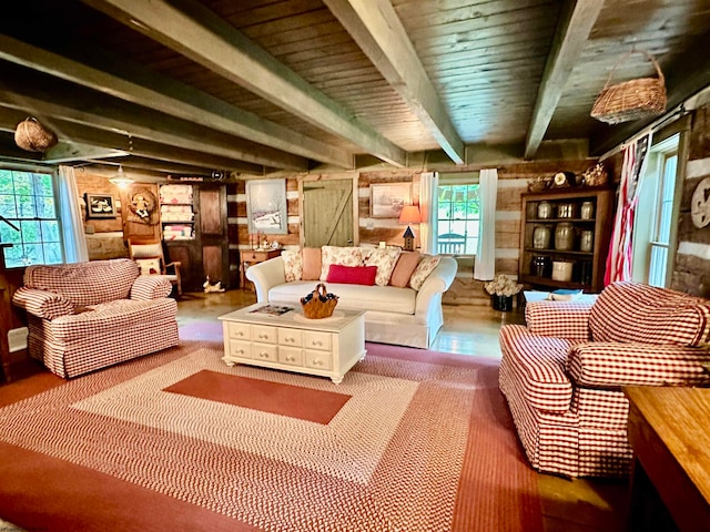 living room featuring a healthy amount of sunlight and beam ceiling