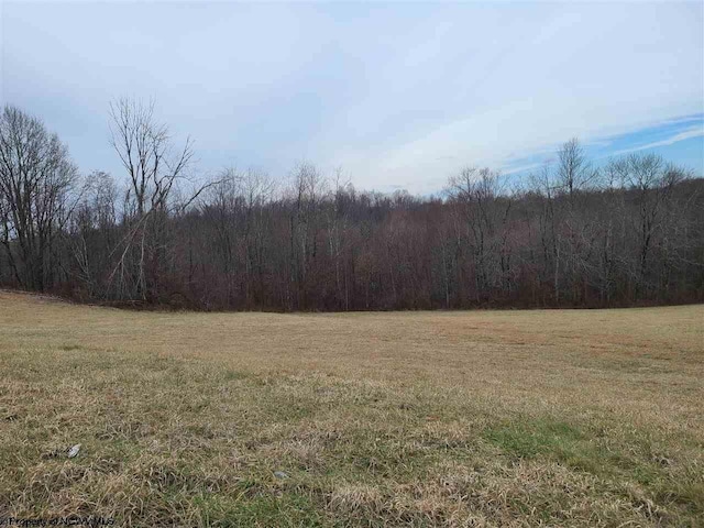 Listing photo 2 for LOT11 High Meadows Dr, Moatsville WV 26405