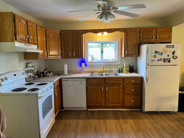 kitchen featuring ceiling fan, sink, white appliances, and hardwood / wood-style flooring