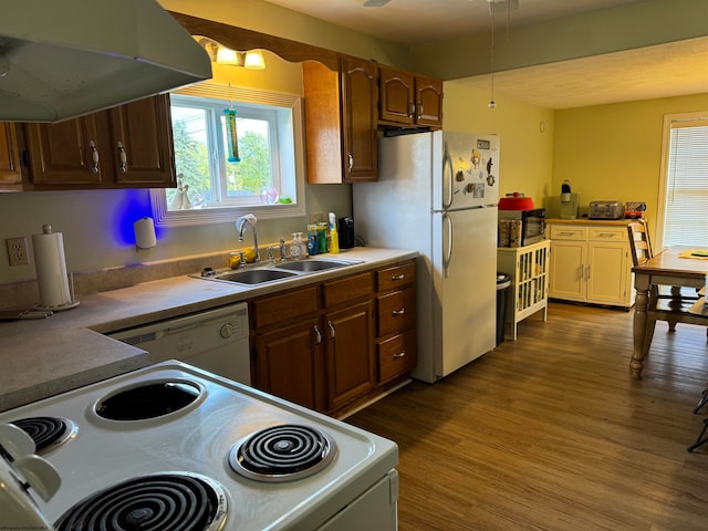 kitchen featuring sink, wood-type flooring, white appliances, and ventilation hood