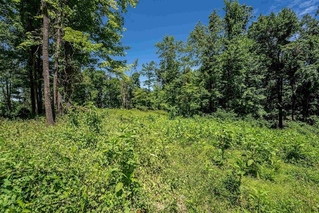 LOT18 Bowers Ln, Morgantown WV, 26508 land for sale