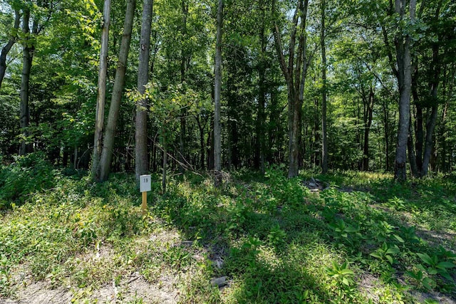 LOT19 Bowers Ln, Morgantown WV, 26508 land for sale