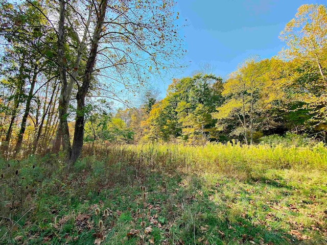 Listing photo 2 for LOT1 Blizzards Gate Rd, Harman WV 26270