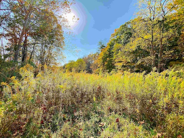 Listing photo 3 for LOT1 Blizzards Gate Rd, Harman WV 26270