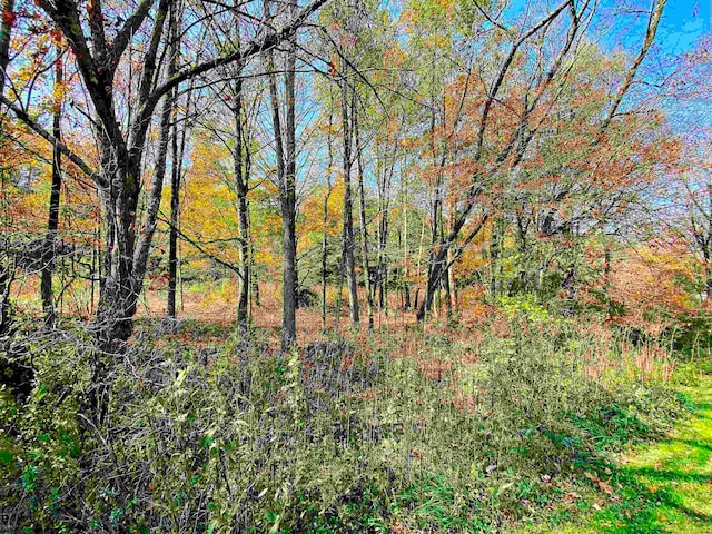 LOT3 Blizzards Gate Rd, Harman WV, 26270 land for sale