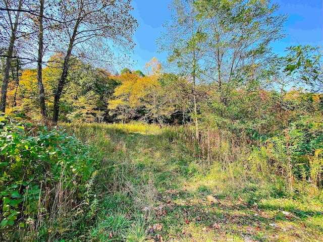 Listing photo 2 for LOT3 Blizzards Gate Rd, Harman WV 26270