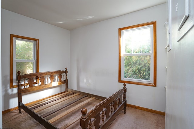 bedroom featuring light carpet and multiple windows