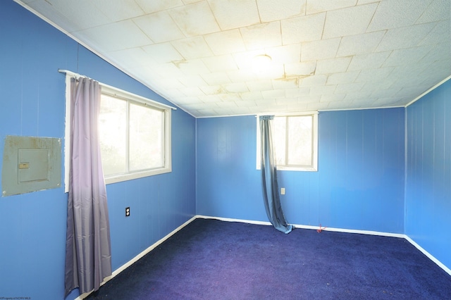 carpeted empty room with lofted ceiling, electric panel, and plenty of natural light