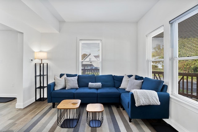 living room featuring hardwood / wood-style floors