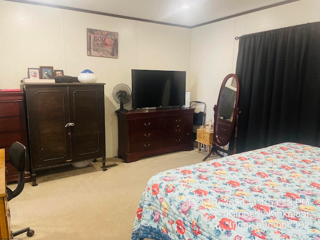 bedroom featuring light carpet