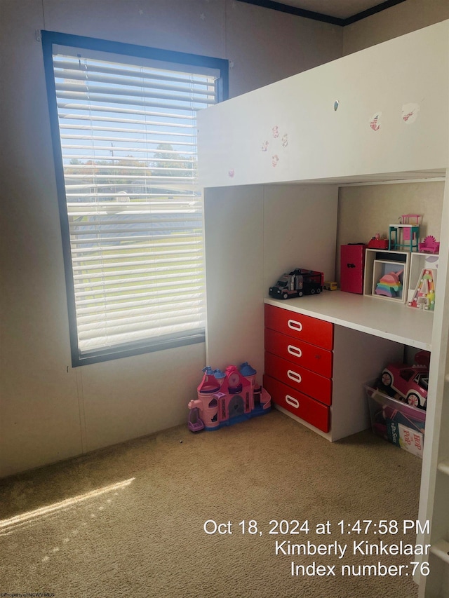 unfurnished bedroom featuring carpet floors