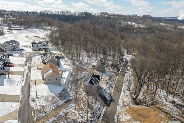 view of snowy aerial view