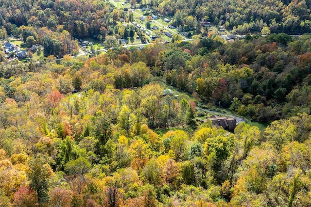 bird's eye view