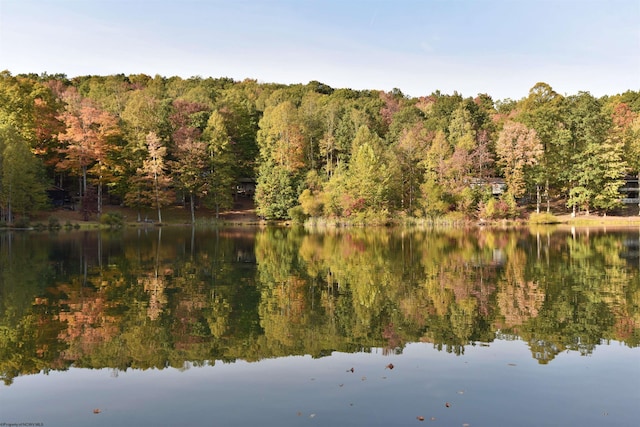 property view of water