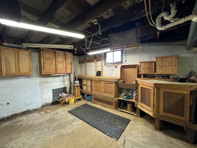 basement with a workshop area