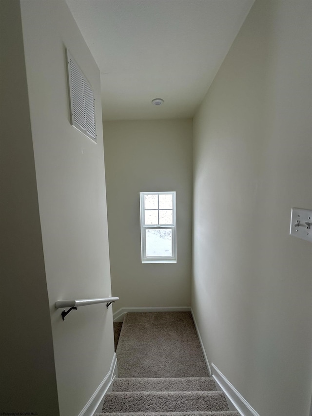 stairs featuring carpet