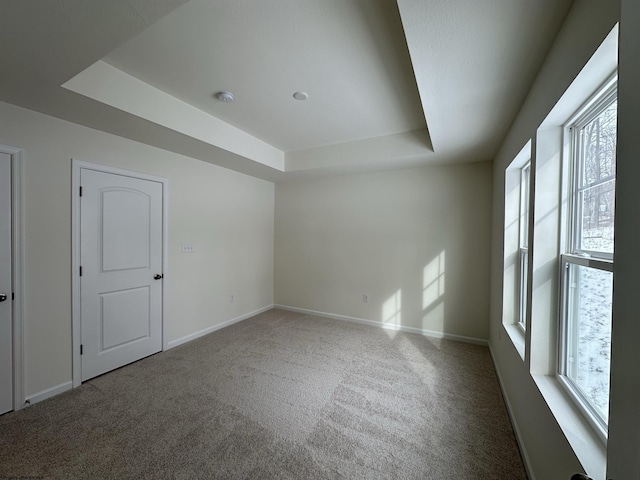 carpeted spare room featuring a raised ceiling and plenty of natural light