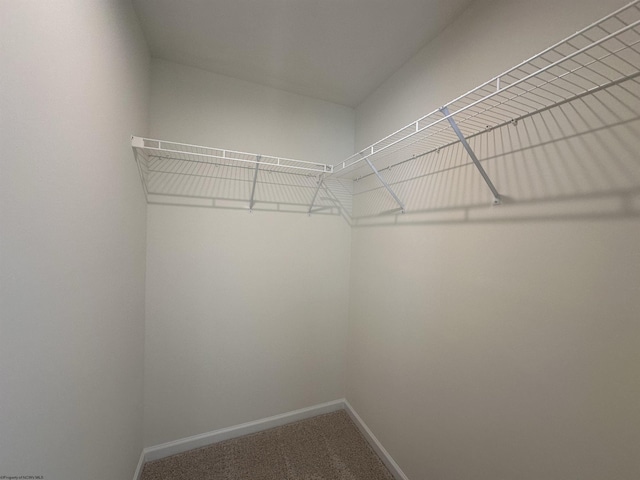 walk in closet with carpet