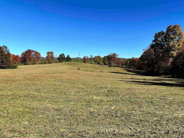 view of local wilderness