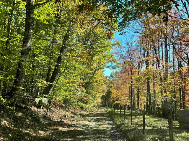 view of local wilderness featuring a view of trees