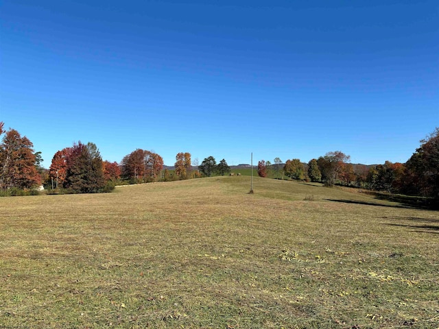 view of yard with a rural view